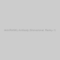 Image of Anti-RANKL Antibody (Monoclonal, Ranky-1)